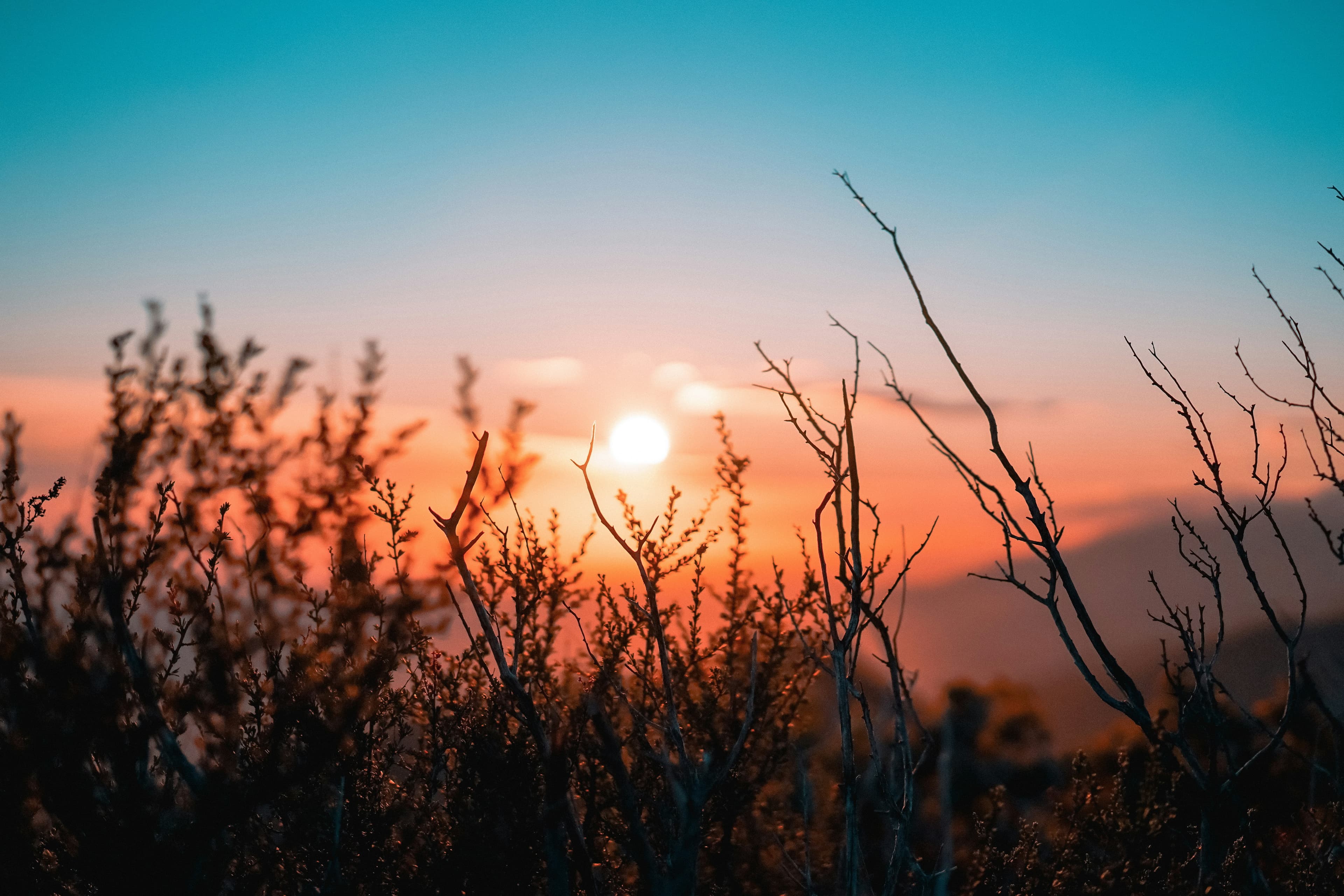Peaceful nature at sunrise